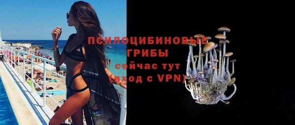 spice Алзамай