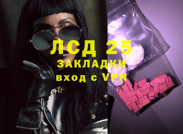spice Алзамай