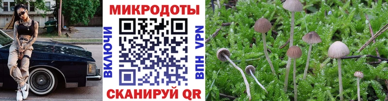 Псилоцибиновые грибы мухоморы  Белоозёрский 