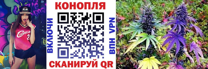 Конопля Amnesia  Белоозёрский 